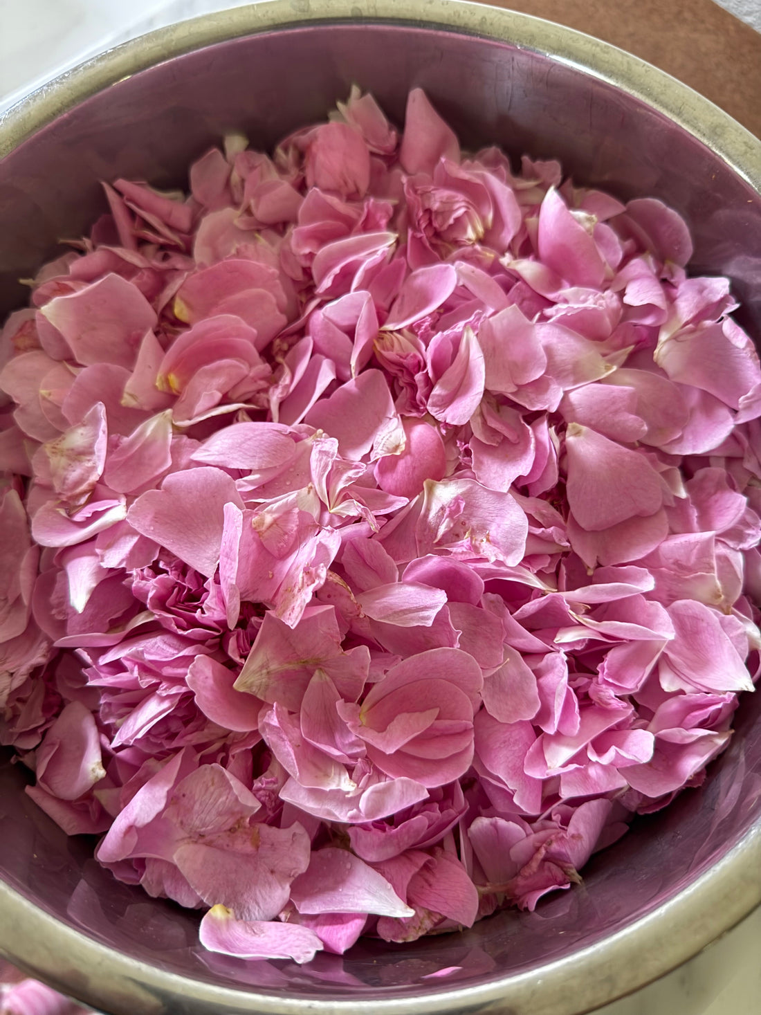 Harvesting Rose Petals